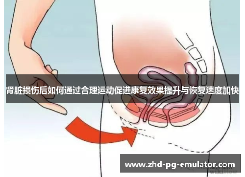 肾脏损伤后如何通过合理运动促进康复效果提升与恢复速度加快